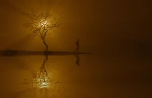 Images Dated 9th February 2017: Silhouette of woman and tree near river at sunset