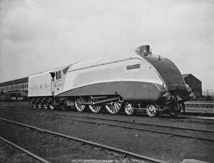 White, Diry Gallery: Silver Link Locomotive