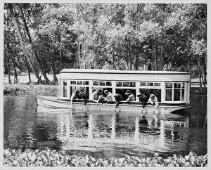 Lac0060 Prints: Silver Springs, Florida