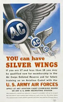 T1641685 Prints: You Can Have Silver Wings