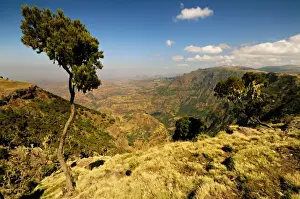 Amhara Prints: Simien National Park