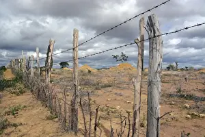 Pasture Prints: Simple barbed wire fence at a barren pasture, Lencois, Bahia, Brazil