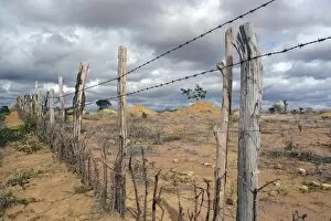 Images Dated 7th January 2013: Simple barbed wire fence at a barren pasture, Lencois, Bahia, Brazil