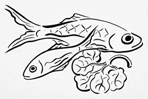 Simple line drawing of freshly caught fish, and lettuce leaf