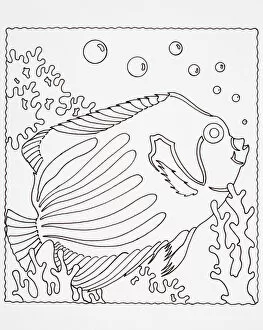 Habitat Collection: Simple line drawing of underwater tropical fish