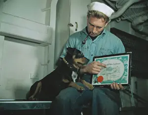 Sinbad Sailor Dog Observing Plaque