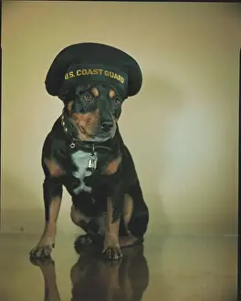 Honor Prints: Sinbad Wearing Coast Guard Hat