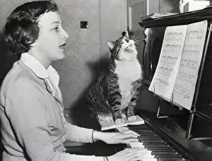 Sheet Music Prints: Singing Cat On Piano
