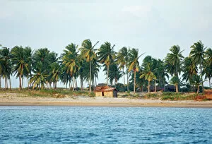A Single Fishing Hut on the Beach