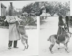 Sir and Mrs. Malcolm Campbell