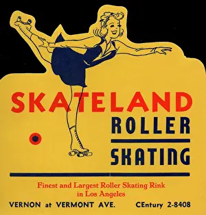 Stylize Prints: Skateland