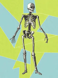 Scary Prints: Skeleton