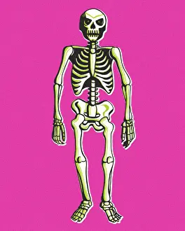 Expression Prints: Skeleton