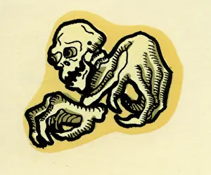 Stylize Prints: Skeleton