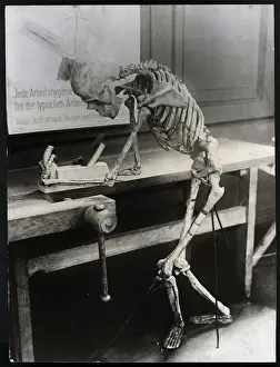 Carpenter Prints: Skeleton Planing At A Carpenter'S Bench