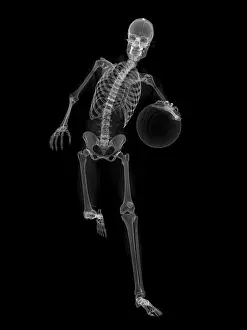 Human Likeness Prints: Skeleton playing basketball, artwork