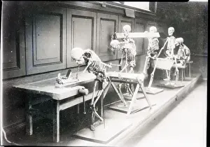 Amsterdam Prints: Skeletons Posed As If Laboring