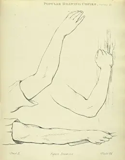 Life Study Prints: Sketching and drawing the human arm and hand