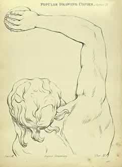 Life Study Prints: Sketching and drawing the human arm and shoulder