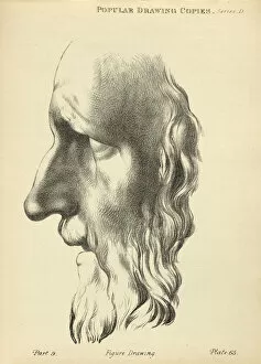 Sketching human face, Classical, Bearded man, Nose, Victorian art figure drawing copies 19th Century
