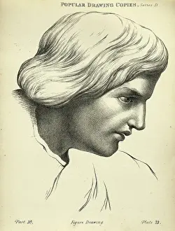 Sketching human face, young man, Bouffant hair style, Victorian art figure drawing copies 19th Century