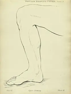 Sketching human leg, Victorian art figure drawing copies 19th Century