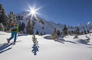 Images Dated 23rd February 2013: Ski tour walker to the Karlesspitze, Stubai Alps, Kuhtai, Tyrol, Austria