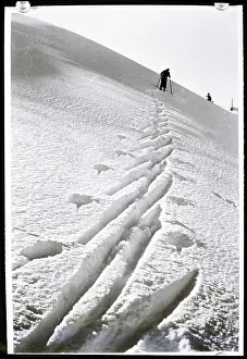 Skiing Prints: Ski Tracks in Snow