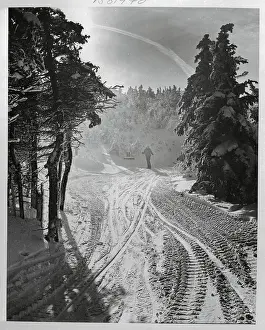 Franconia Prints: Skier in Middle of Snowy Forest