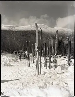 Skis Prints: Skiing/Skis Stuck In Snow