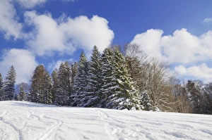 Images Dated 9th February 2013: Skiing tracks in a snow-covered winter landscape, Leitzachtal, bei Elbach, Upper Bavaria, Bavaria