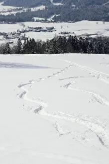 Skiing tracks, wedeln, above Leizachtal Valley on a sunny winters day, Leitzachtal, bei Elbach, Upper Bavaria, Bavaria