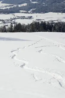 Skiing tracks, wedeln, above Leizachtal Valley on a sunny winters day, Leitzachtal, bei Elbach, Upper Bavaria, Bavaria, Germany