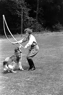 Prints of A young woman and collie skip together. Original Publication: Picture Post - 4922 - Dog That Skips - pub. 1949 (Photo by Carl Sutton/Getty Images) A Photographic Legacy: Skipping With Collie