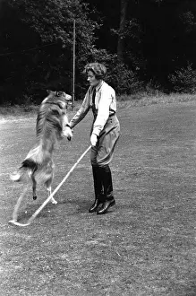 Prints of A young woman and a collie skip together. Original Publication: Picture Post - 4922 - Dog That Skips - pub. 1949 (Photo by Carl Sutton/Getty Images) A Photographic Legacy: Skipping Dog
