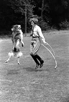 Prints of A woman skipping with a collie. Original Publication: Picture Post - 4922 - Dog That Skips - pub. 1949 (Photo by Carl Sutton/Getty Images) A Photographic Legacy: Skipping With Dog
