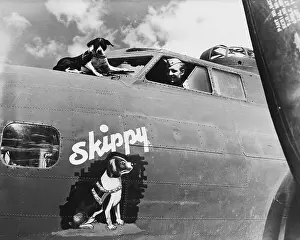Painted Prints: Skippy the Unofficial Crew Member of a Flying Fortress