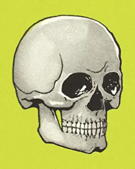 Tooth Prints: Skull