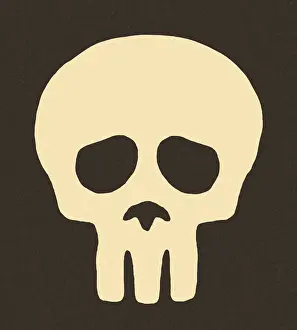 Skull on Black Background