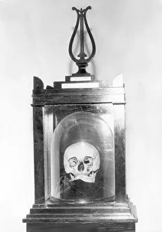 Skull of Composer Franz Josef Hadyn
