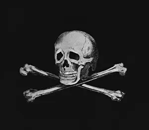 Poison Prints: Skull and Crossbones