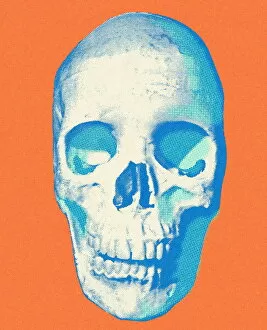 Images Dated 21st January 2015: Skull on an Orange Background