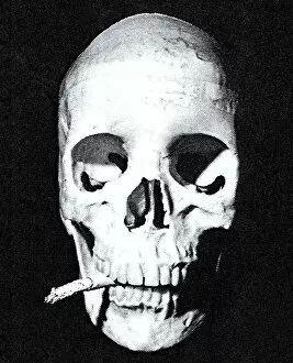 Images Dated 21st January 2015: Skull Smoking a Cigarette