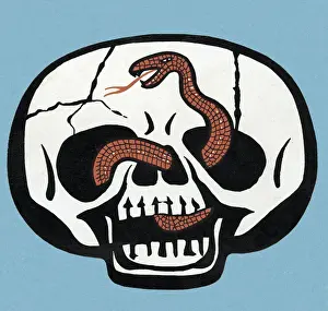 Facial Expre Prints: Skull and Snake