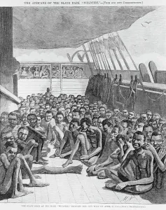 Eyesight Prints: Slave Deck of the Bark Wildfire Illustration