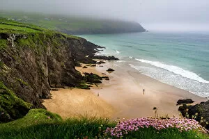 Bay Of Water Gallery: Slea Head beach on a foggy day, Dingle Peninsula, County Kerry, Munster Province, Ireland