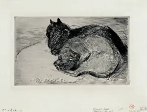 Cats Prints: Two sleeping cats