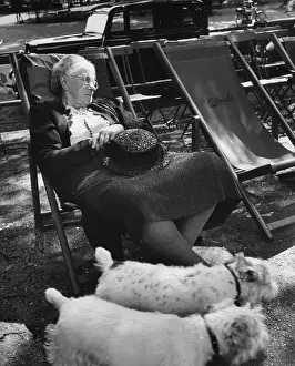 Deckchair Prints: Sleeping In the Park