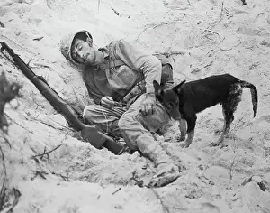 Peleliu Prints: Sleeping Soldier with Dog Standing Guard