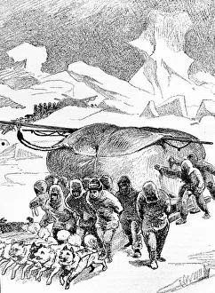 Images Dated 28th September 2018: The Sleigh of Sir William Edward Parry, 1790-1855